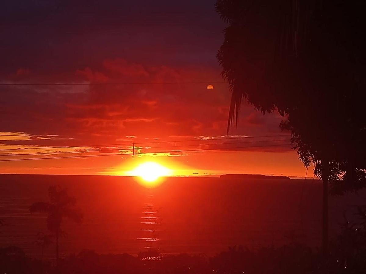 Cabinas Vista Isla Del Cano Corcovado Drakes Bay 外观 照片