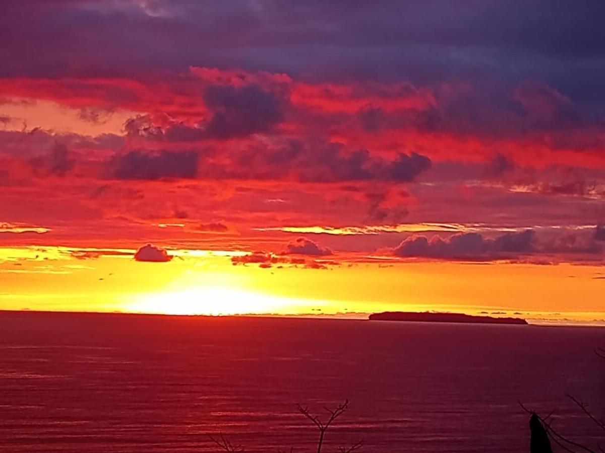 Cabinas Vista Isla Del Cano Corcovado Drakes Bay 外观 照片
