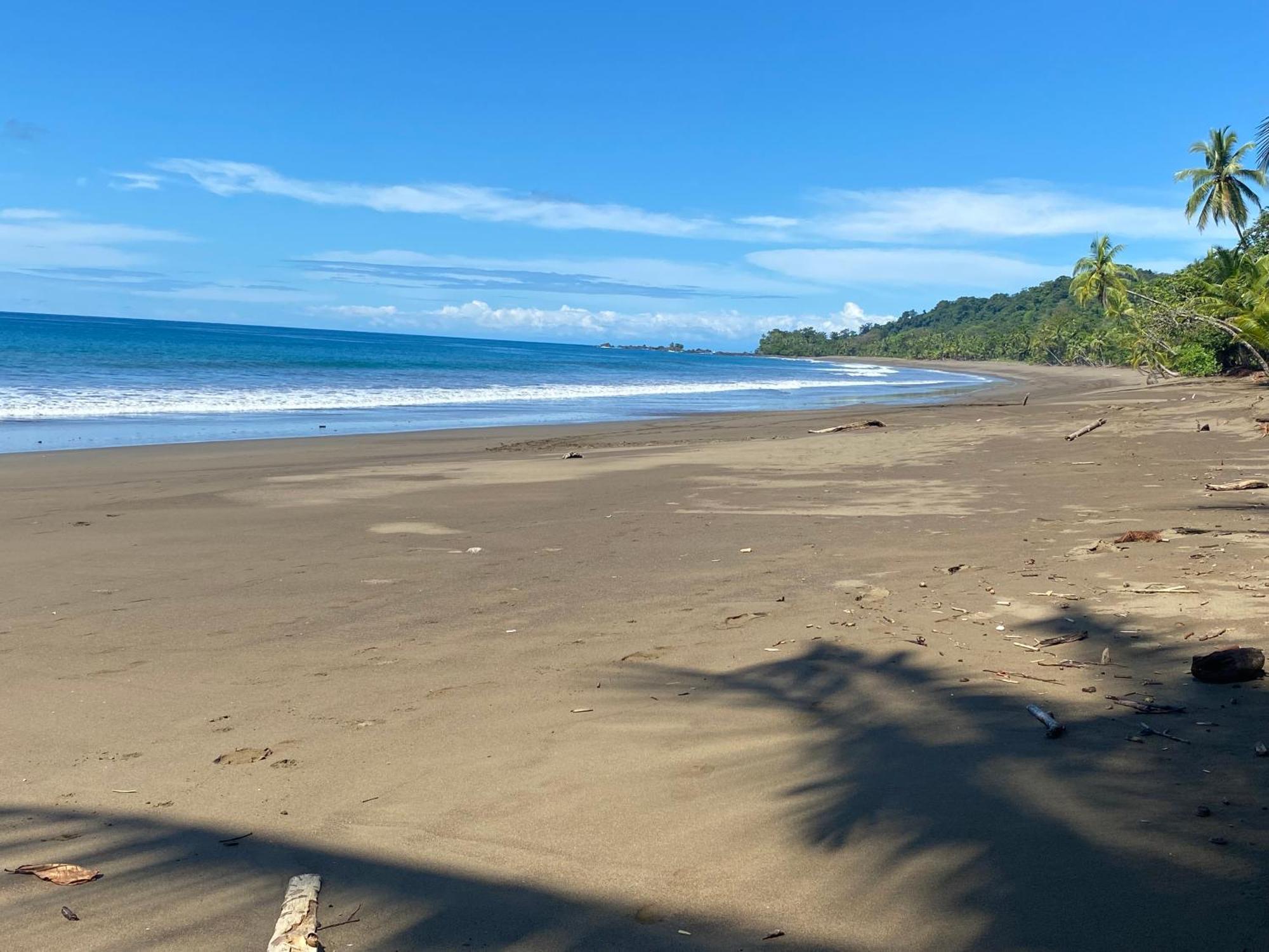 Cabinas Vista Isla Del Cano Corcovado Drakes Bay 外观 照片